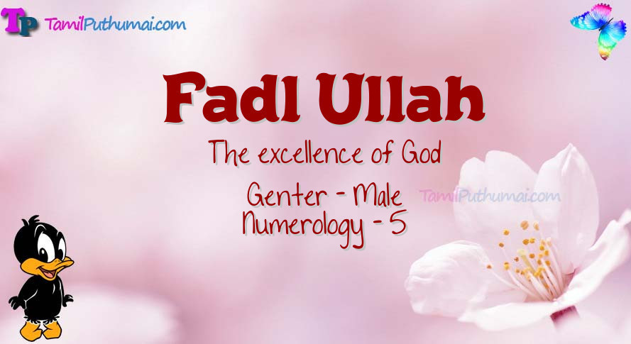 Fadl Ullah-babyname-meaning